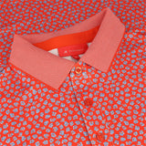 Windsor Polo