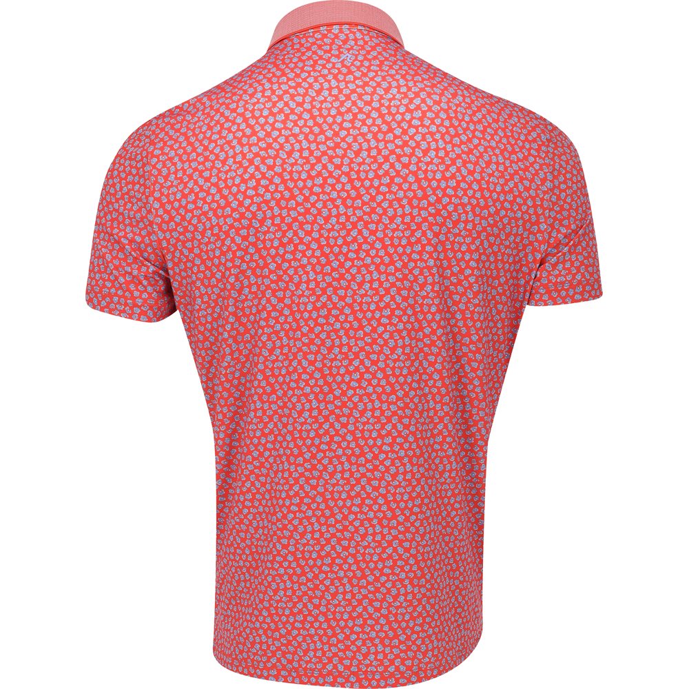 Windsor Polo