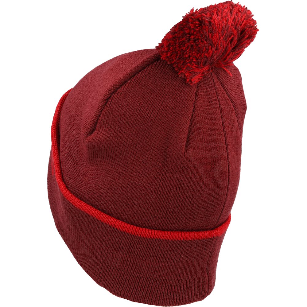 Stripe Beanie Hat