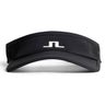 Gain Visor