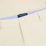 Surge Performance Shorts