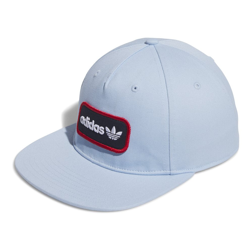 Tour Archive 5 Panel Hat