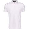 KV Polo
