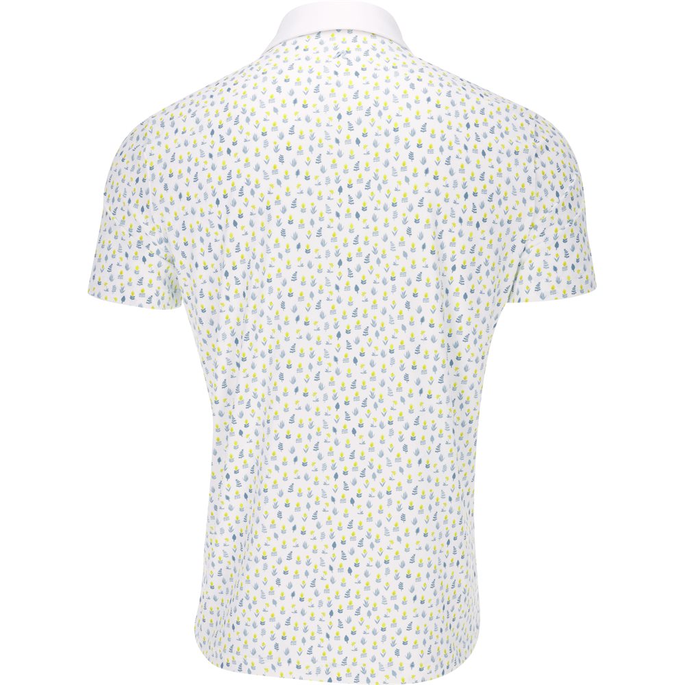 Ashland Polo
