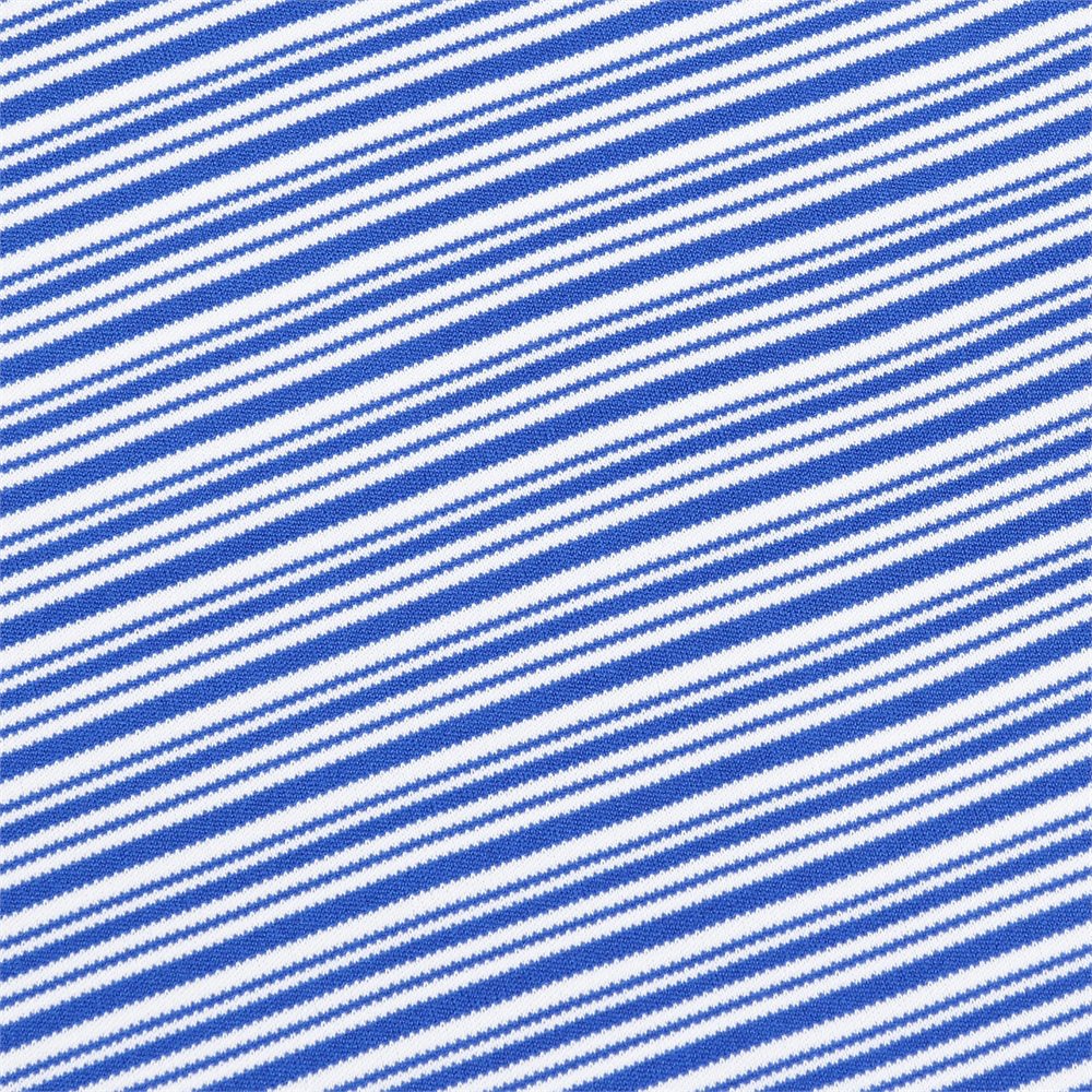Featherweight Payne Stripe Polo