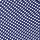 Women's Long Sleeve Mock Neck Top - Mini Check Print