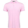 KV Polo