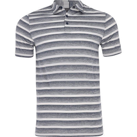 Two-Color Striped Polo