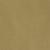 101 South Golf Shorts