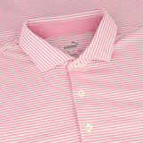Isle Pique Polo