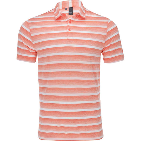 Two-Color Striped Polo