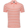 Two-Color Striped Polo