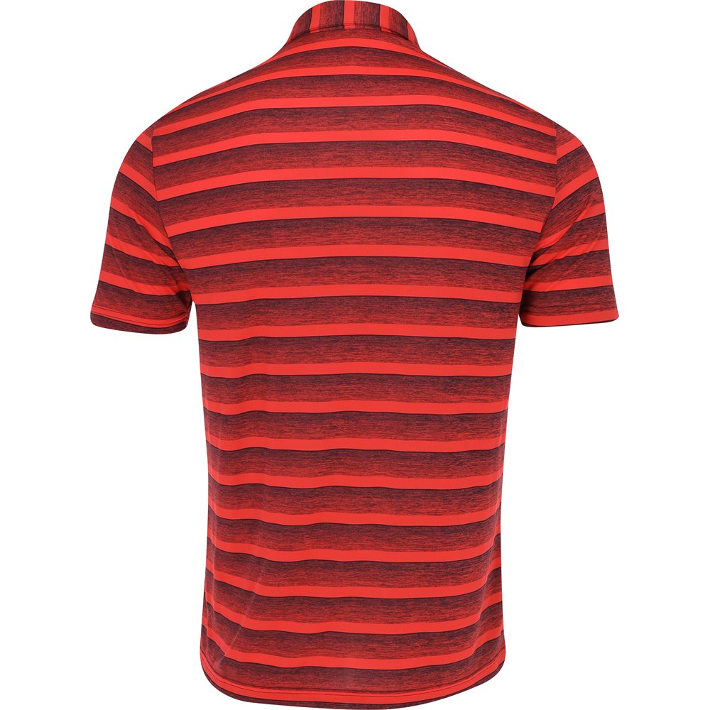Two-Color Striped Polo