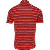 Two-Color Striped Polo