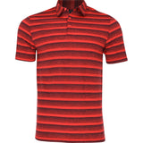 Two-Color Striped Polo