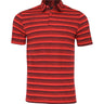 Two-Color Striped Polo