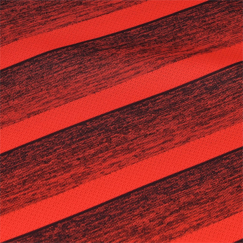 Two-Color Striped Polo