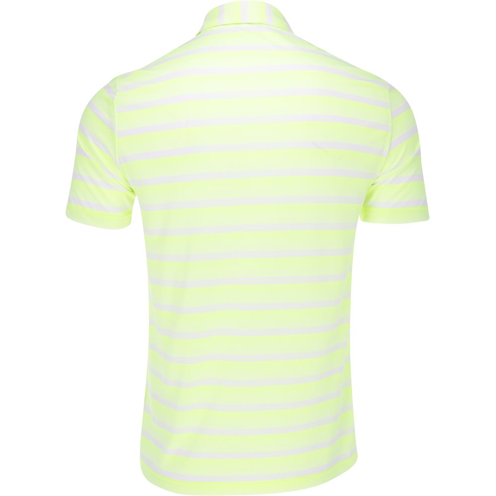 Two-Color Striped Polo