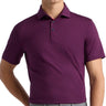 All Play Polo