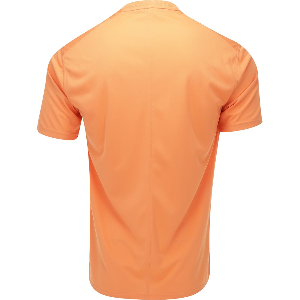 Dri-FIT Victory Blade Polo