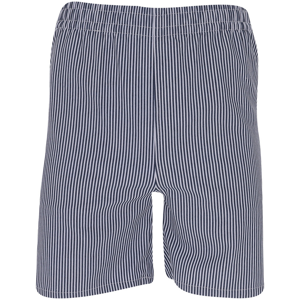 Otis Stripe Oxford Shorts