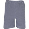 Otis Stripe Oxford Shorts