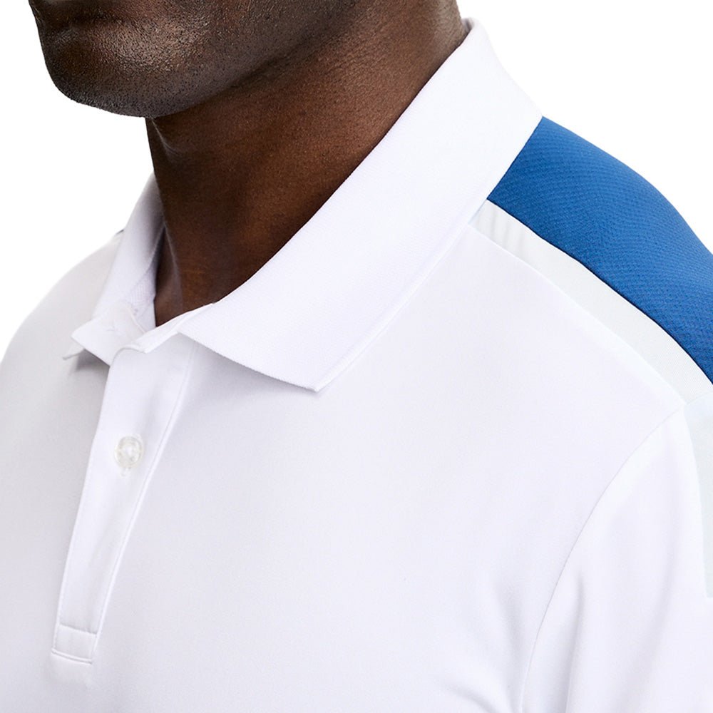 Viggo Polo