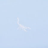 Skull Caddie Tip Polo - Fairway Styles