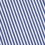 Reymon Stripe Oxford Button-Up Shirt
