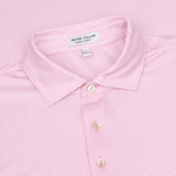 Gingham Performance Jersey Polo