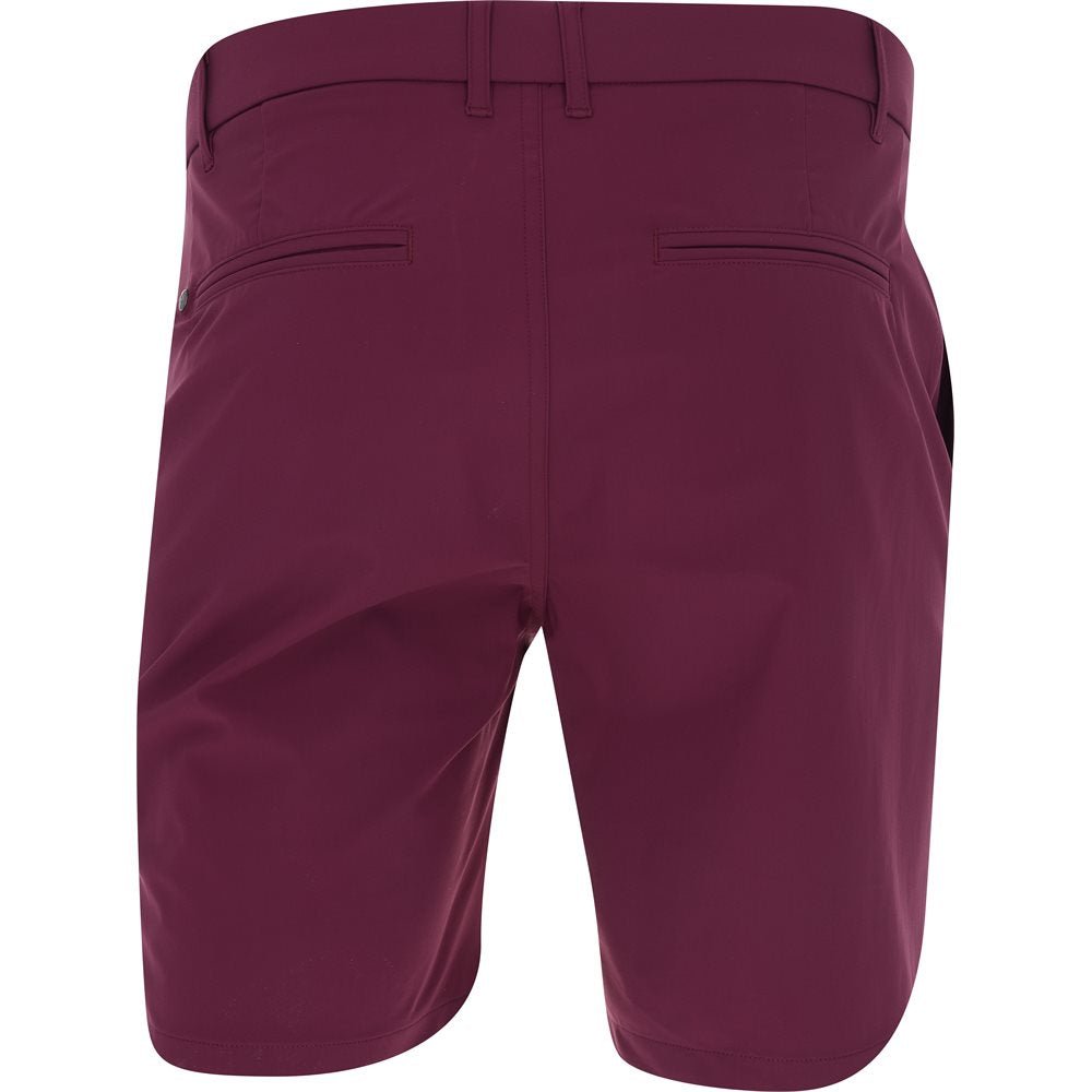 8" Montauk Shorts